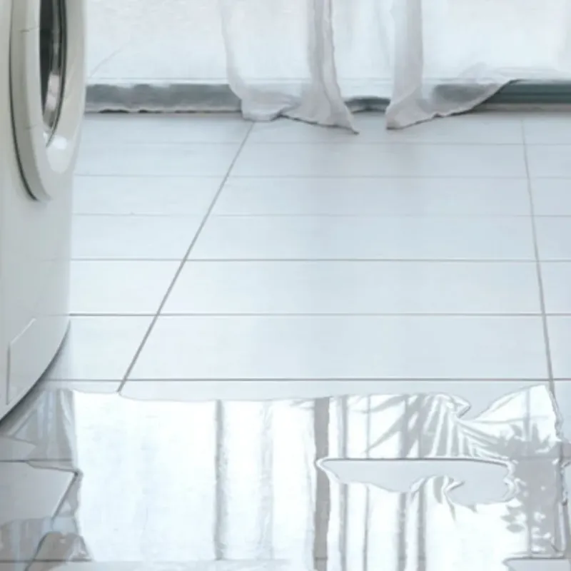 Appliance Leak Cleanup in Tripoli, IA