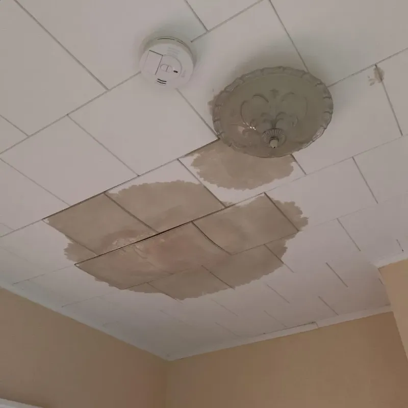 Ceiling Water Damage Repair in Tripoli, IA