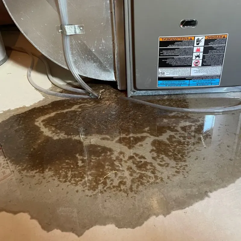 Pipe Burst and Leak Restoration in Tripoli, IA